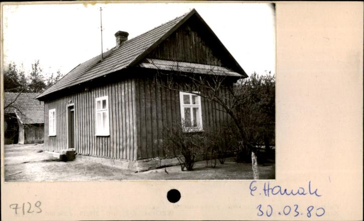 dom, skan 2