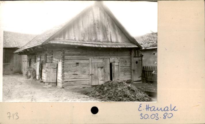 stajnia, skan 2