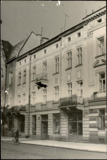 dom, skan 2