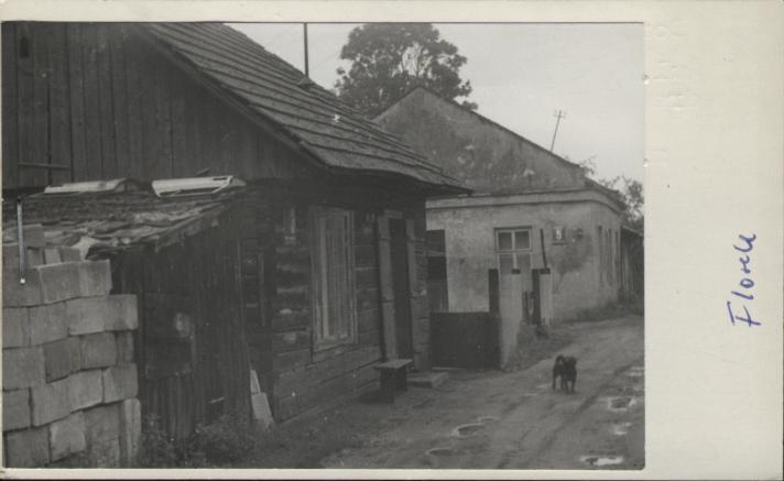 dom, skan 2