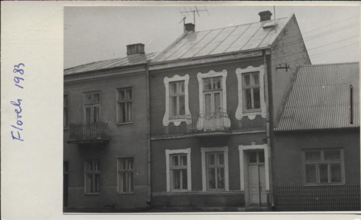 dom, skan 2