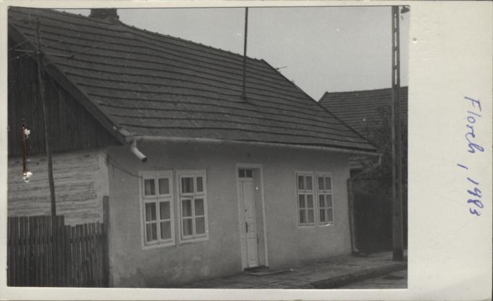 dom, skan 2