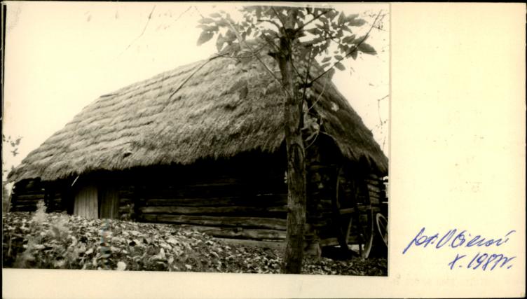 stodoła, skan 2