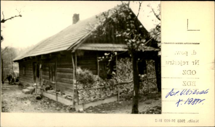 dom, skan 2
