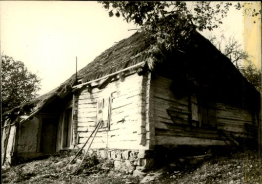 chałupa, skan 3