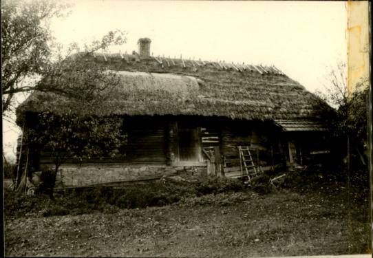 chałupa, skan 3