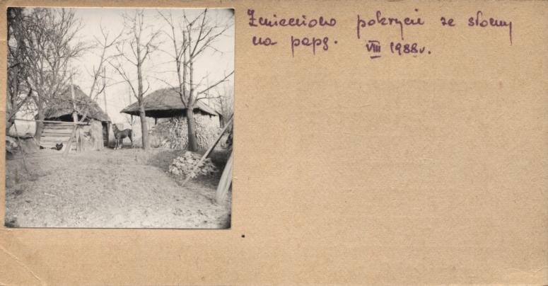 brogi, ob. stajnia, skan 2