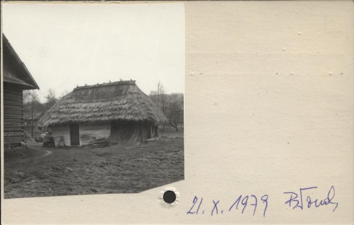 stajnia, skan 2