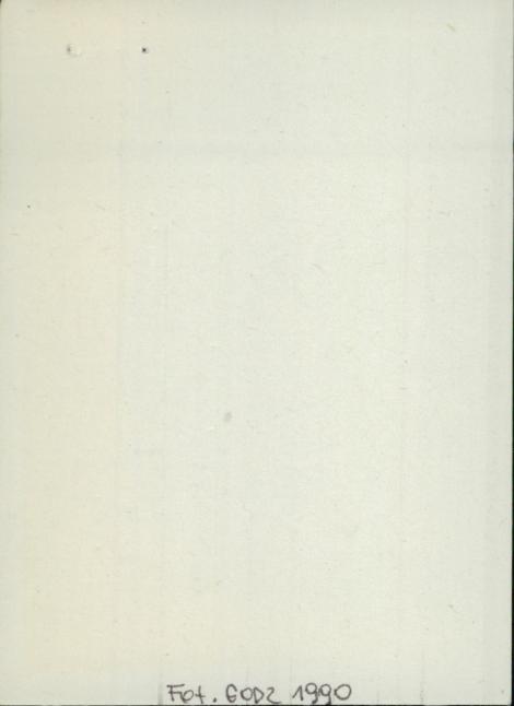 stajnia/obora/chlewnia, ob. warsztat i gospod., skan 2