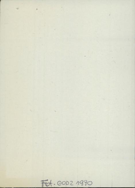 dom mieszkalny w zespole młyna wodnego, skan 2