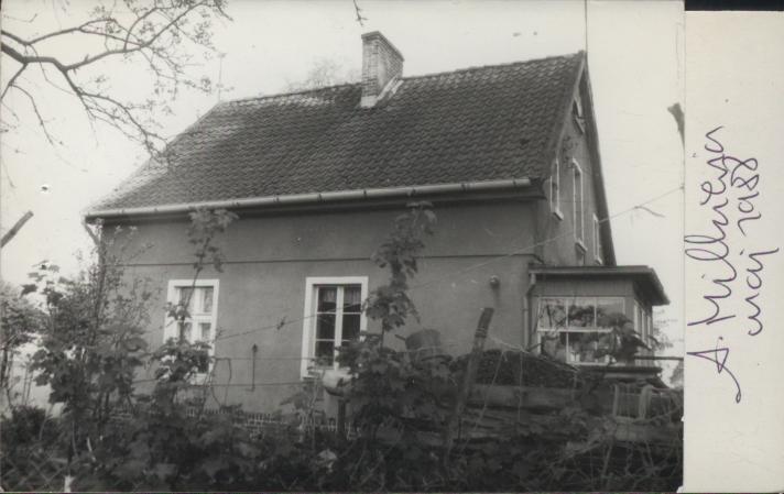 dom, skan 3