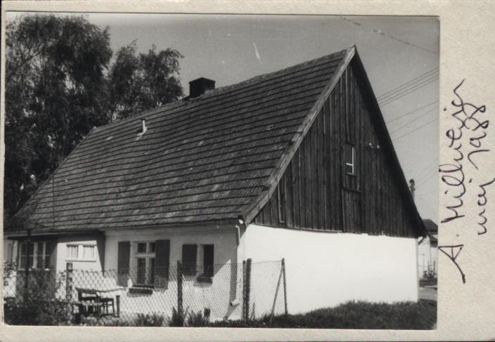 dom, skan 3