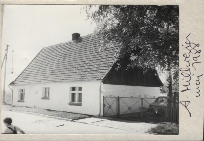 dom, skan 4