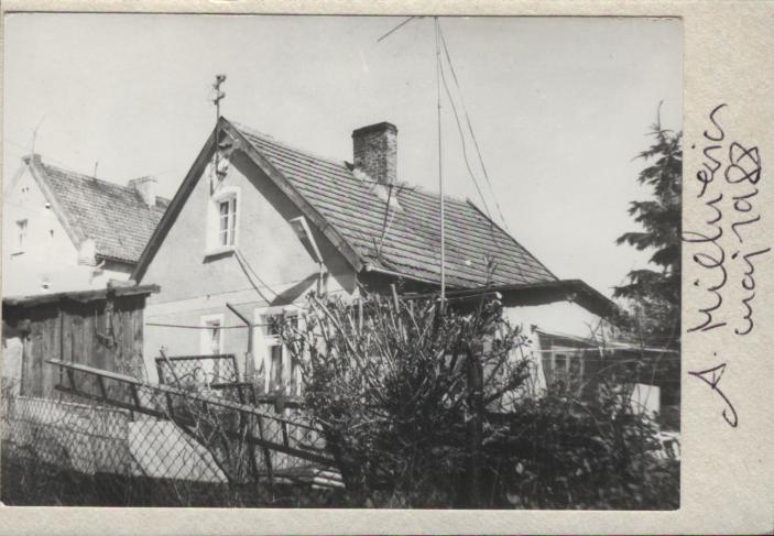dom, skan 3