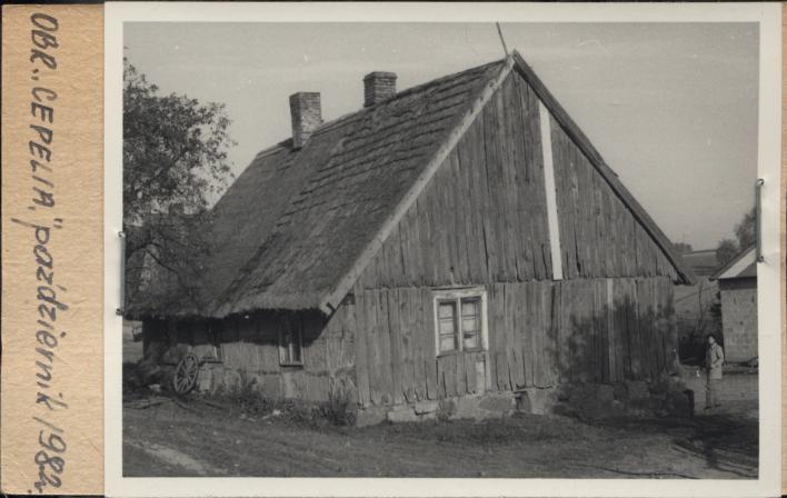 dom, skan 2