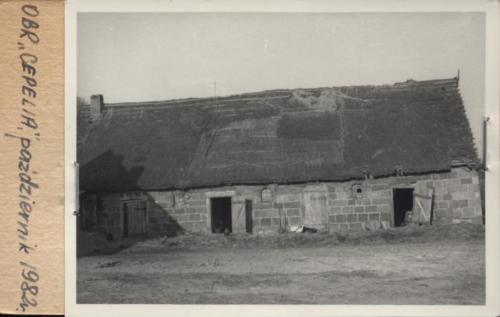 obora, skan 2