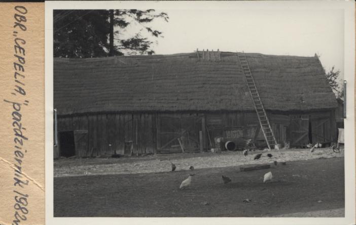 stodoła, skan 2