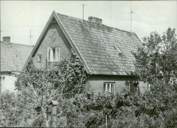 dom, skan 3