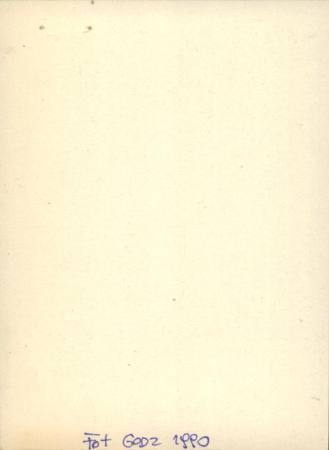 dom (poniatówka), skan 2