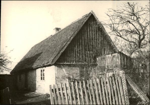dom, skan 3
