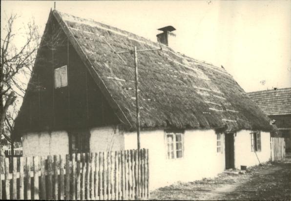 dom, skan 3