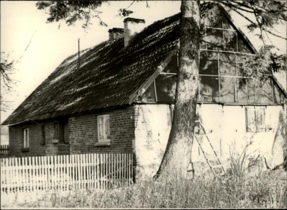 dom, skan 3