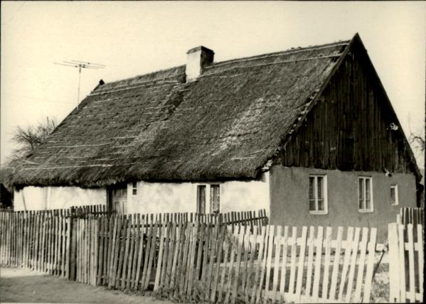 dom, skan 3