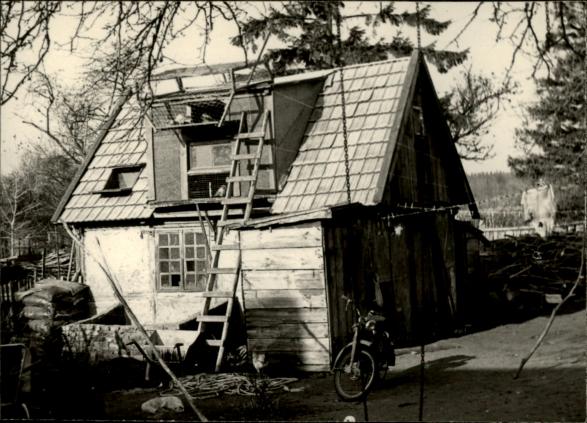komórka - gołębnik, skan 3