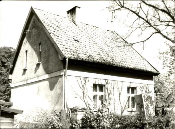 dom, skan 3