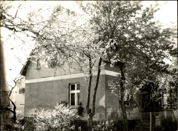 dom, skan 3