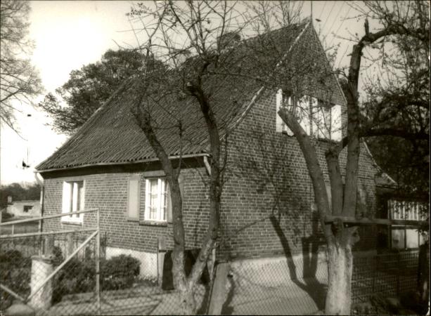 dom, skan 3