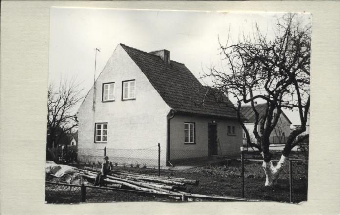 dom, skan 2