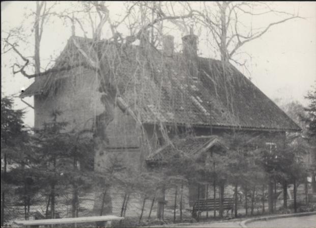 dom, skan 5