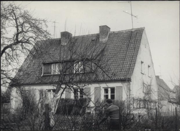 dom, skan 3