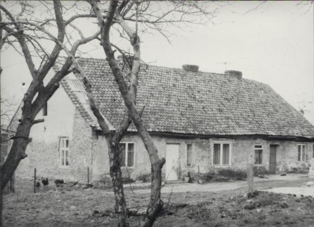dom, skan 5