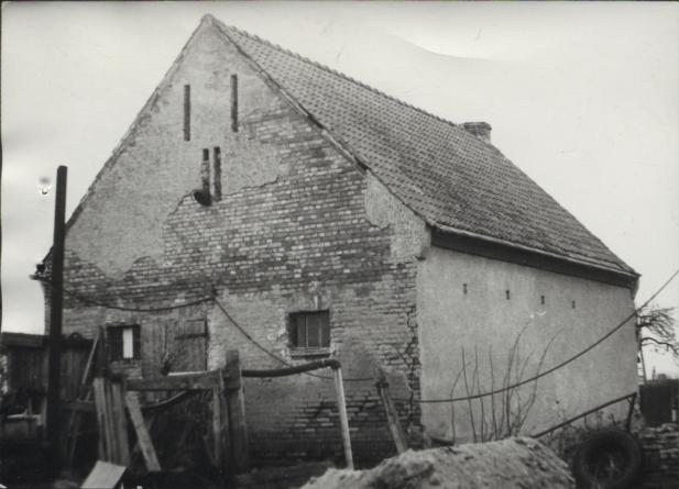 dom, skan 7
