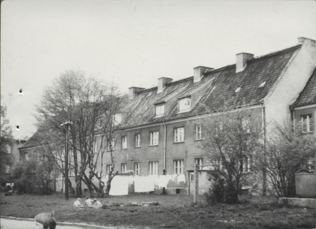 dom, skan 6