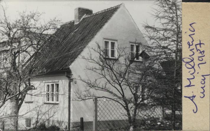 dom, skan 2