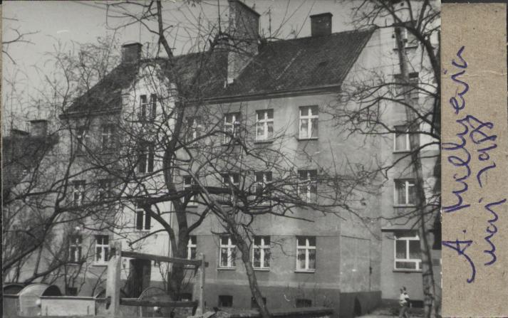 dom, skan 2