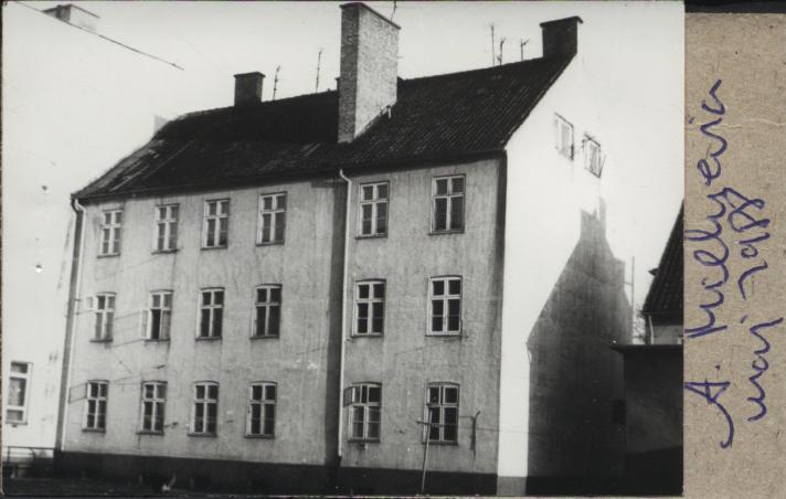 dom, skan 3