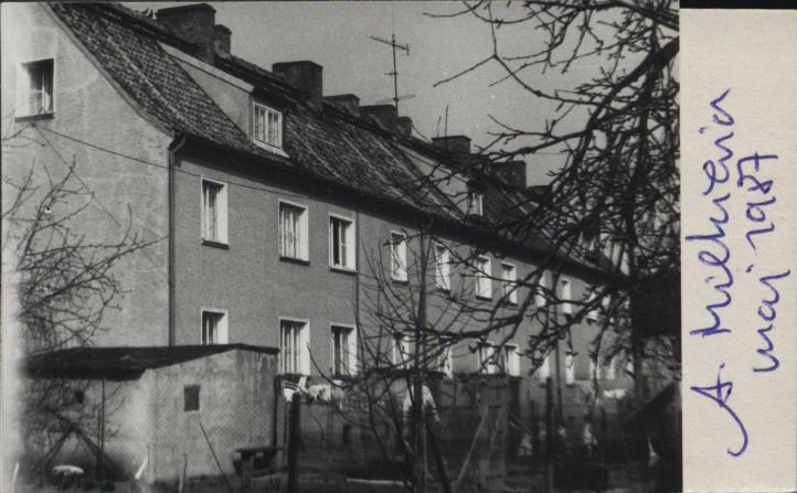 dom, skan 3