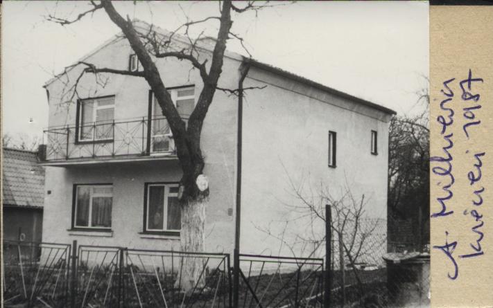 dom, skan 3