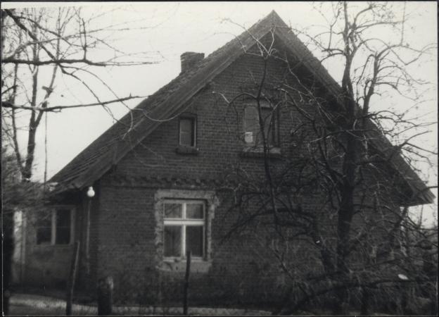 dom, skan 3