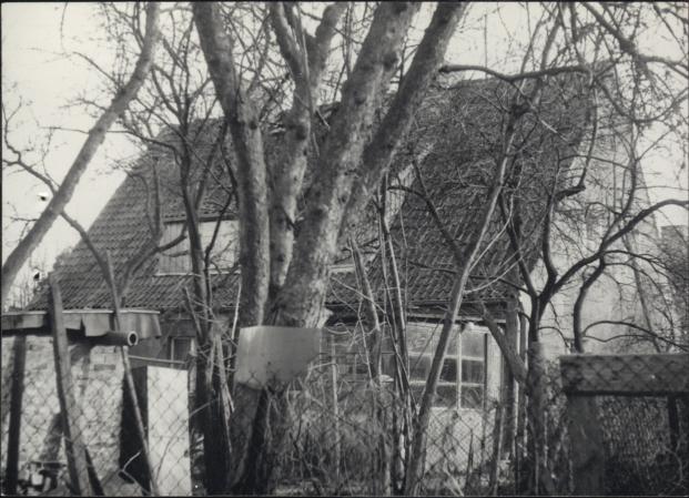 dom, skan 4