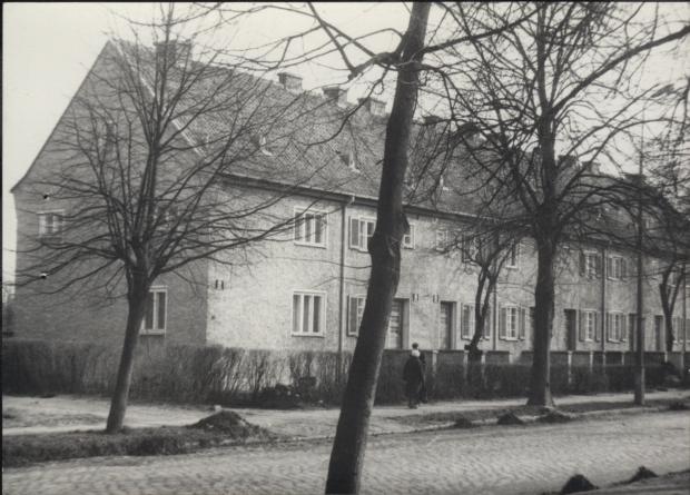 dom, skan 3