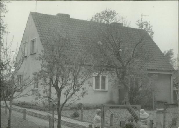 dom, skan 3