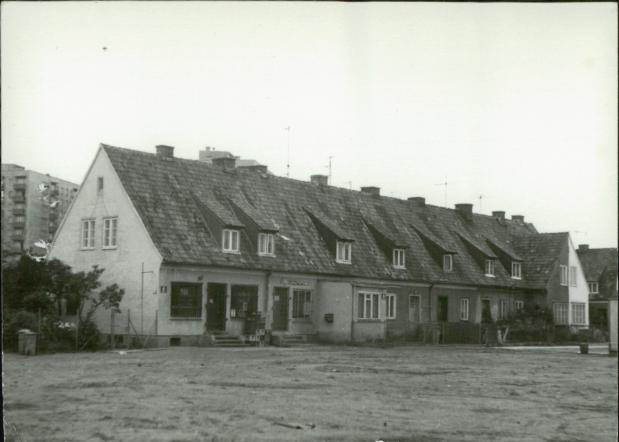 dom, skan 5