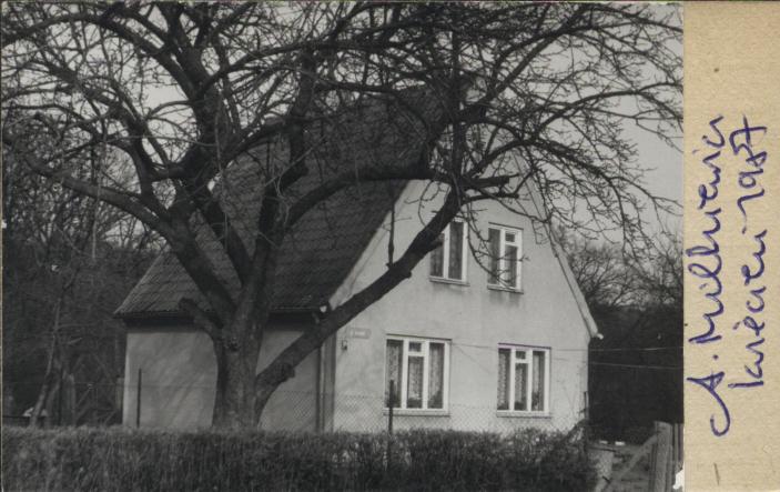 dom, skan 2