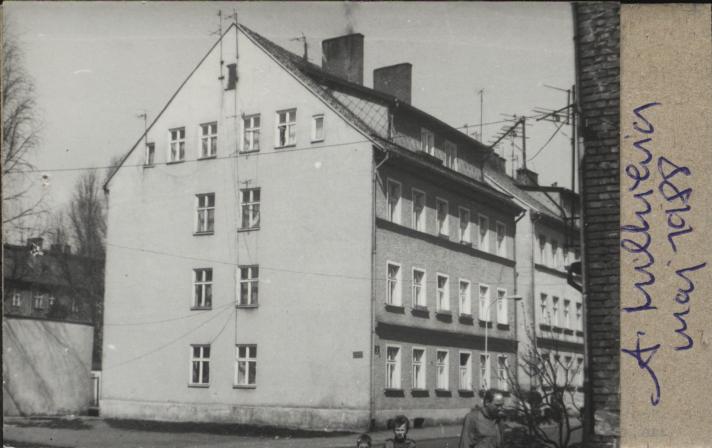 dom, skan 2