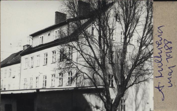 dom, skan 3